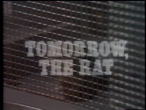 Doomwatch - title - Tommorrow the Rat